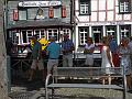 Chat. Bleu 2017_(162)